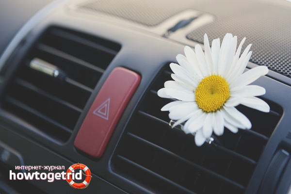 How to get rid of the smell in the car