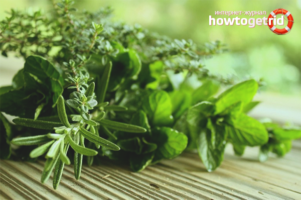 Herbes curatives contre la prostatite