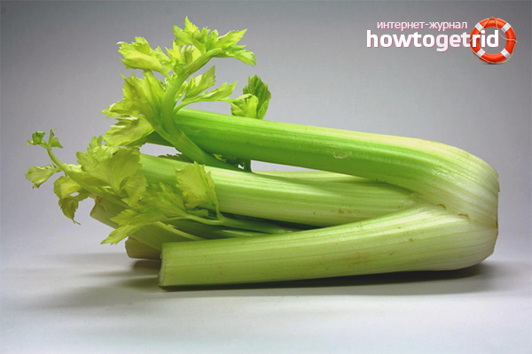 How to grow celery in the garden