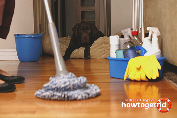 Cleaning the apartment from the smell of cigarettes