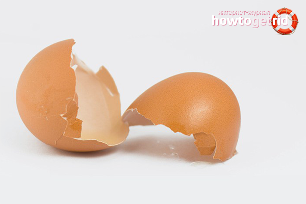 How to take eggshell