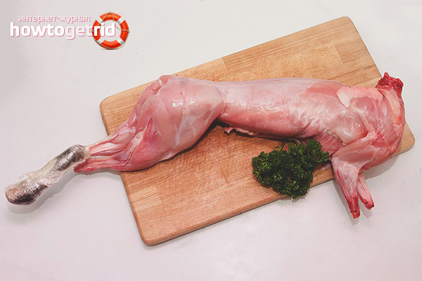 How to grow a rabbit for meat