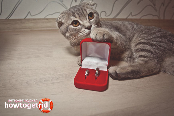 An offer of marriage