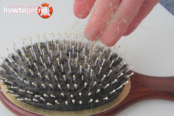 How to brush a comb