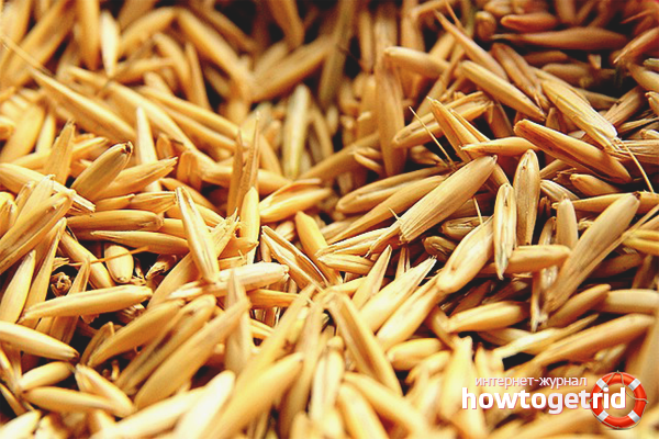 How to brew oats for liver treatment