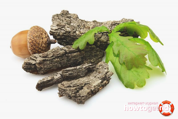 Oak bark for bleeding gums