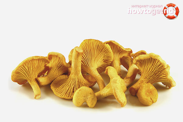 Chanterelles for liver cleansing