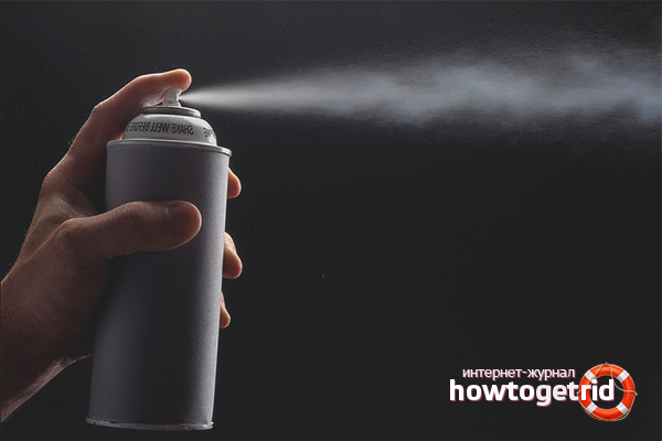 How to get bedbugs out of the couch