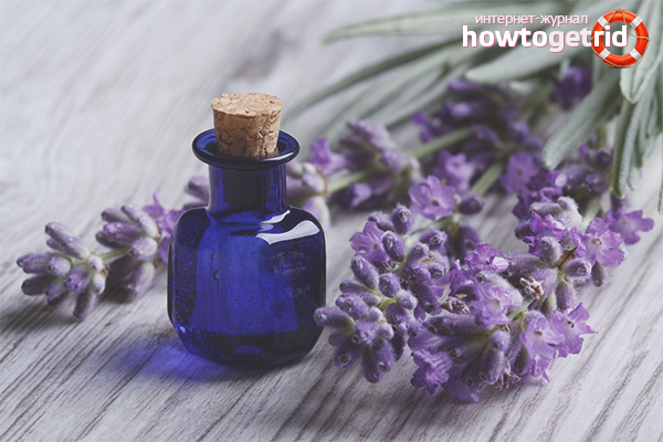 Lavender essential oil