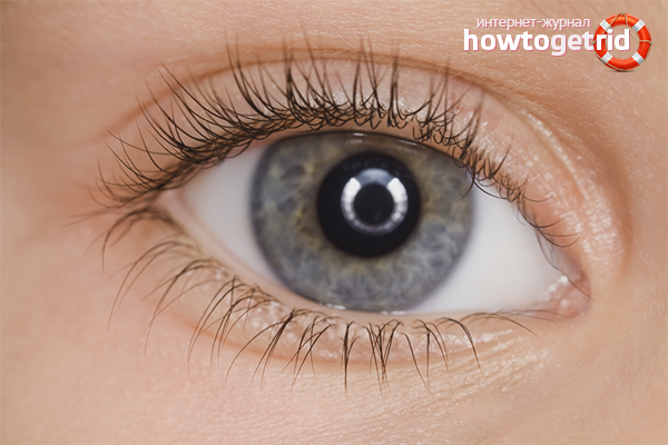 How to strengthen eyelashes and improve their growth