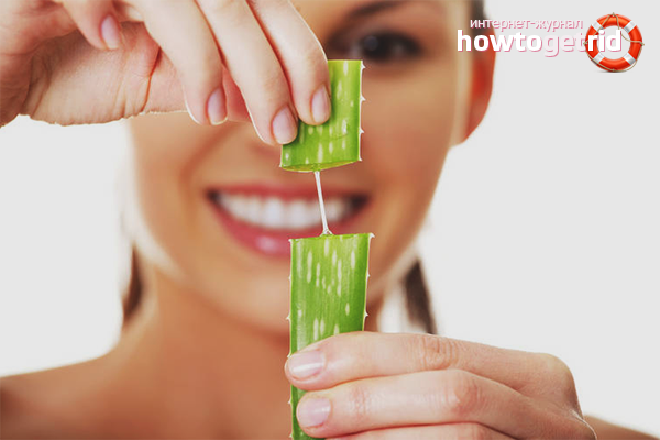 Aloe Vera for Acne