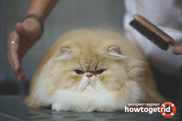 Prevention of warblers