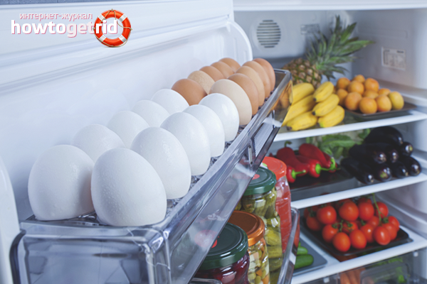 How to store food in the refrigerator