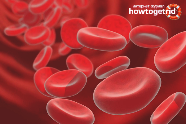 Wie man das Hämoglobin bei einem Kind erhöht