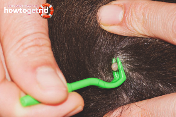 How to get a tick out of a cat