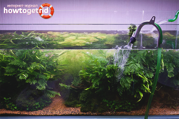 How often do you need to change the water in the aquarium