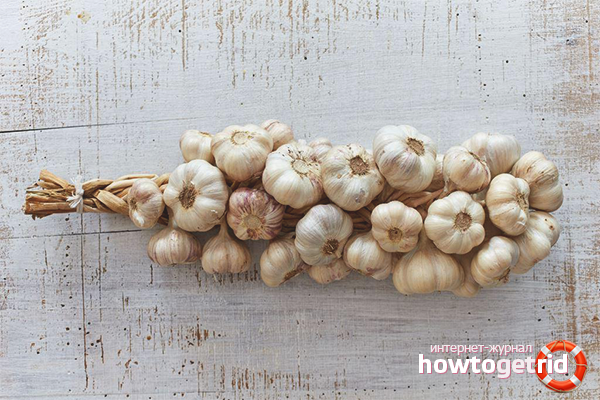 How to store garlic at home