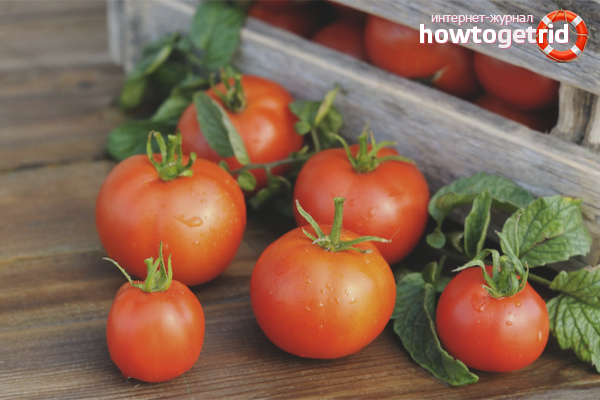 How to store tomatoes