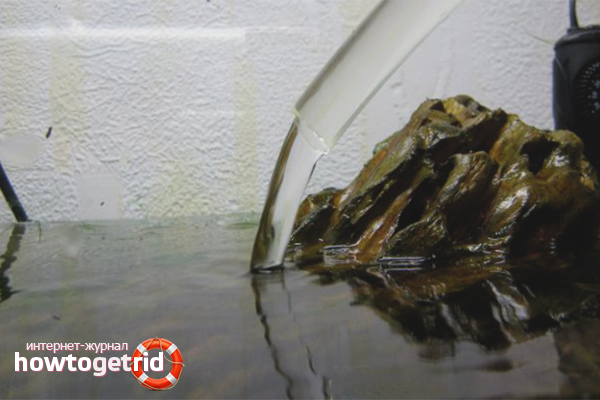 How to change the water in the aquarium