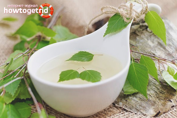 How to drink and store birch sap