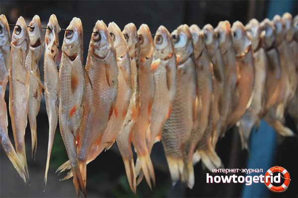Fish drying