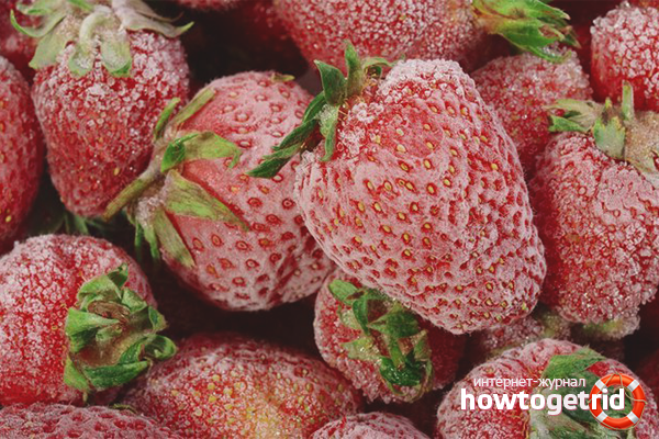 Whole Strawberry Freeze