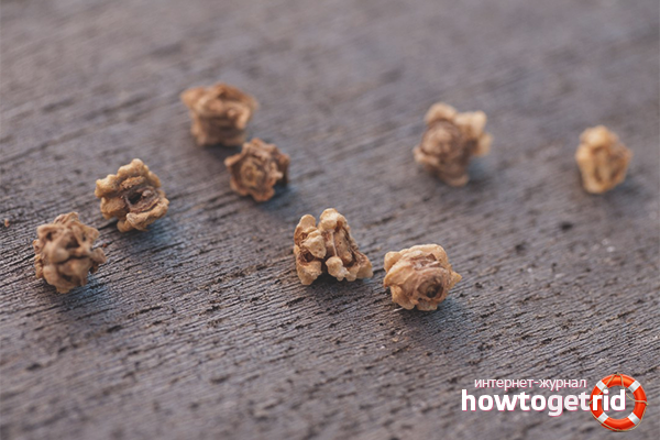 How to process beet seeds