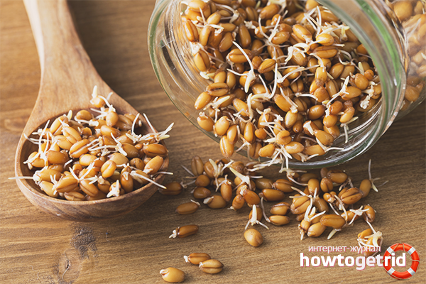 How to consume germinated wheat