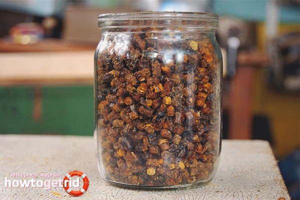 How to store bee bread in granules