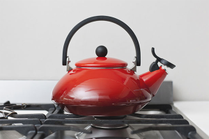 How to choose a kettle for a gas stove