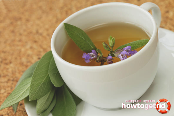 Sage broth for conception