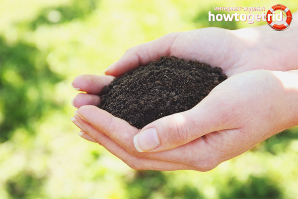 How to make the soil fertile