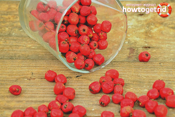 How to dry a hawthorn
