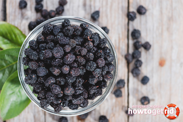 How to Dry Chokeberry
