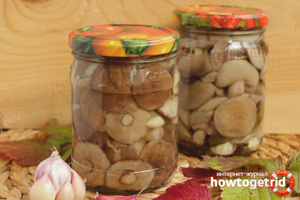 Marinated butter with spices