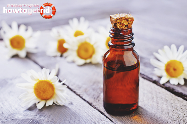 Chamomile oil for oily hair