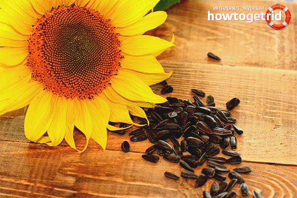 The benefits and harms of sunflower seeds during pregnancy