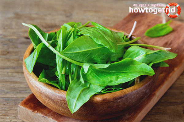 The benefits of sorrel for women