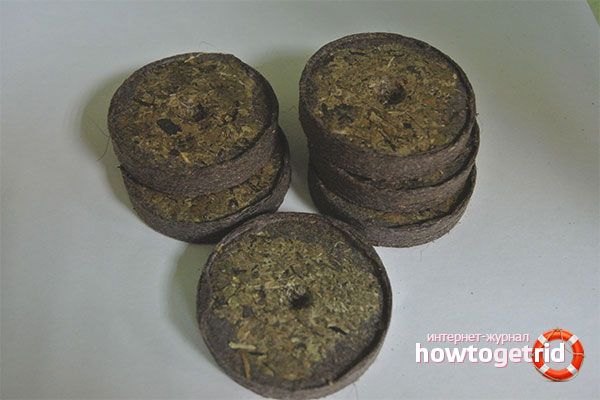 Advantages and disadvantages of peat tablets