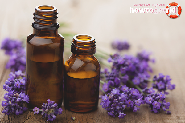 Lavender essential oil