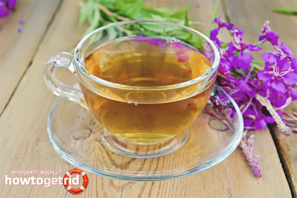 How to brew fragrant ivan tea