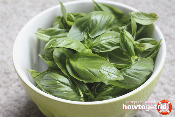 The use of basil for losing weight