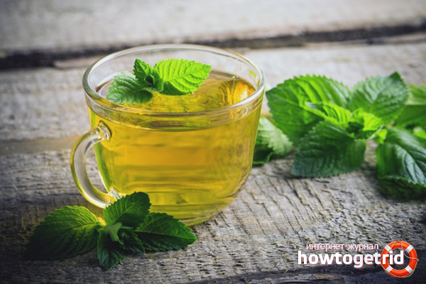 The benefits and harms of tea with lemon balm