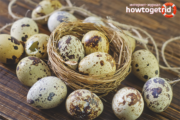 The benefits and harms of quail eggs