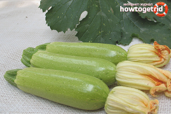 The benefits of zucchini for children