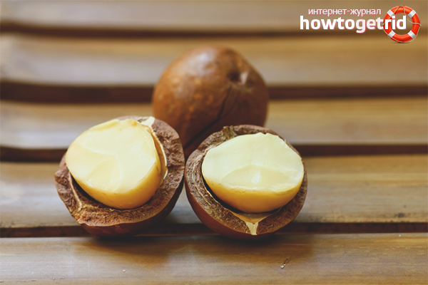 The benefits of macadamia nuts in cosmetology