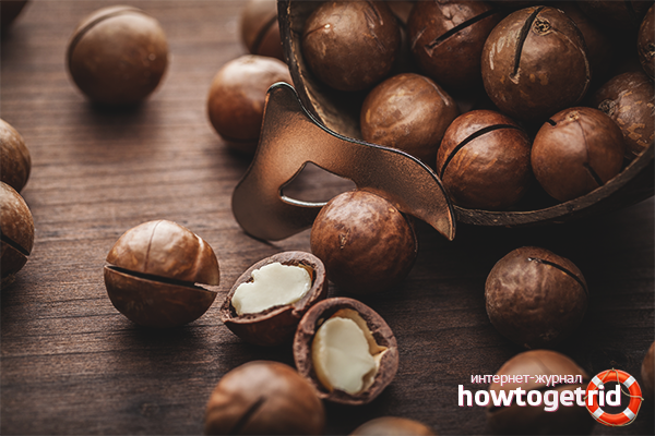 Benefits of Macadamia Nuts