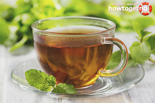 The harm of tea with lemon balm for the body