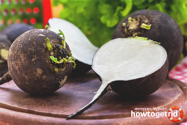 The benefits and harms of black radish
