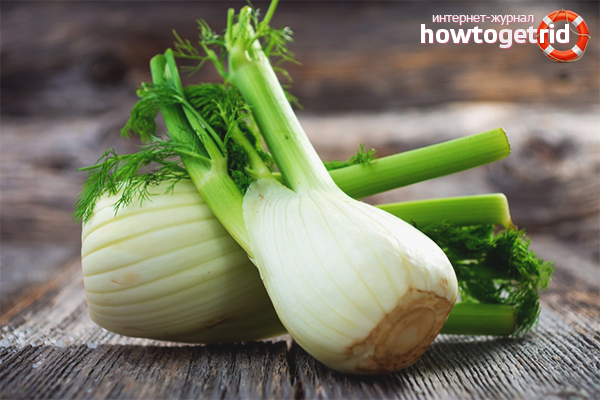 The benefits and harms of fennel